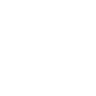 Dubai Police